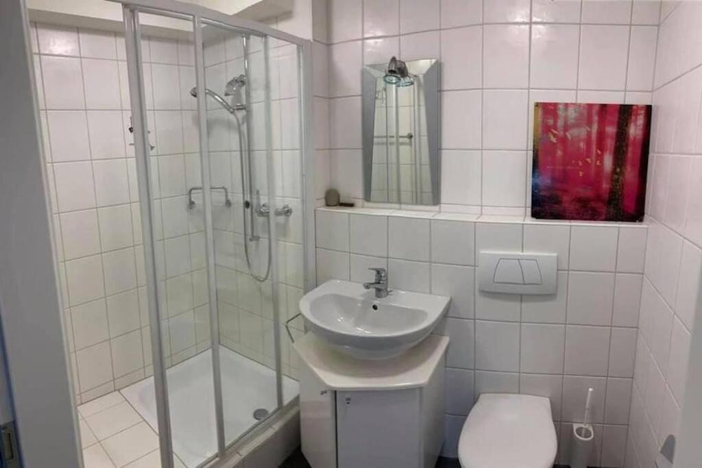 Basel - 5 Mins Away - Modern Basement Studio With Kitchen 35M2 In Muttenz Exterior foto